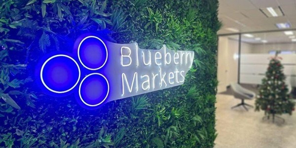 Blueberry Markets logo